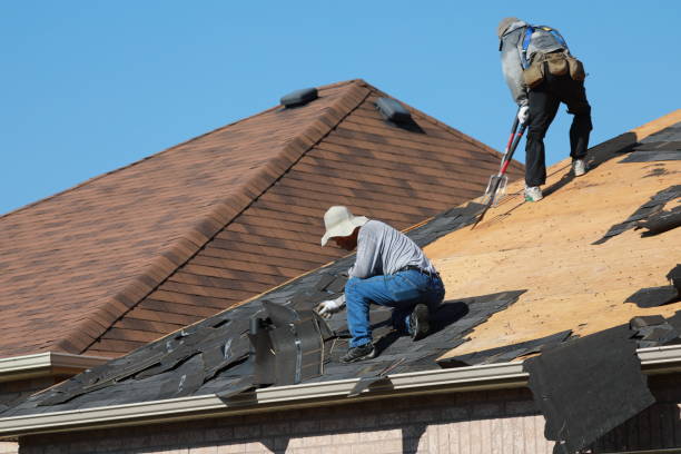 Best Skylight Installation and Repair  in Towamensing Trails, PA